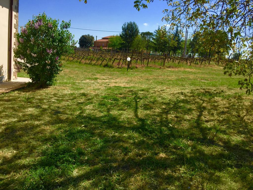 Country House Maremma Nel Tufo Питиляно Екстериор снимка
