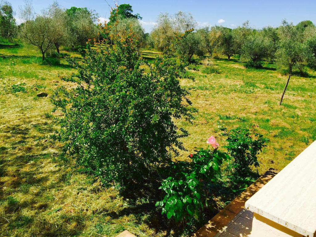 Country House Maremma Nel Tufo Питиляно Екстериор снимка